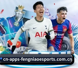 我们在做什么 - 长期内容价值积累 - FENGNIAO ESPORTS